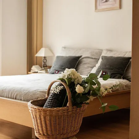 Chateau Apartment Saas-Fee